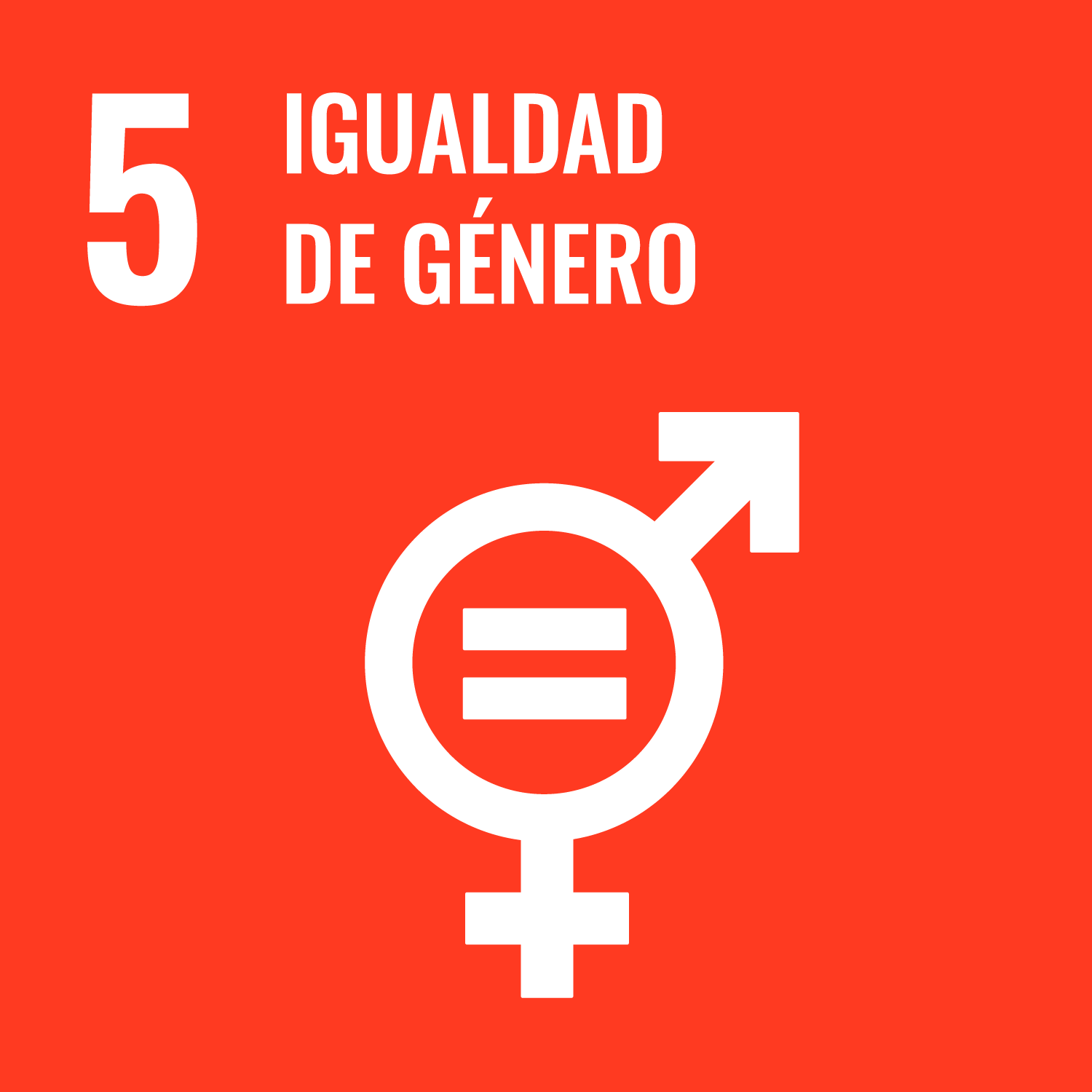 Imagen ods 5