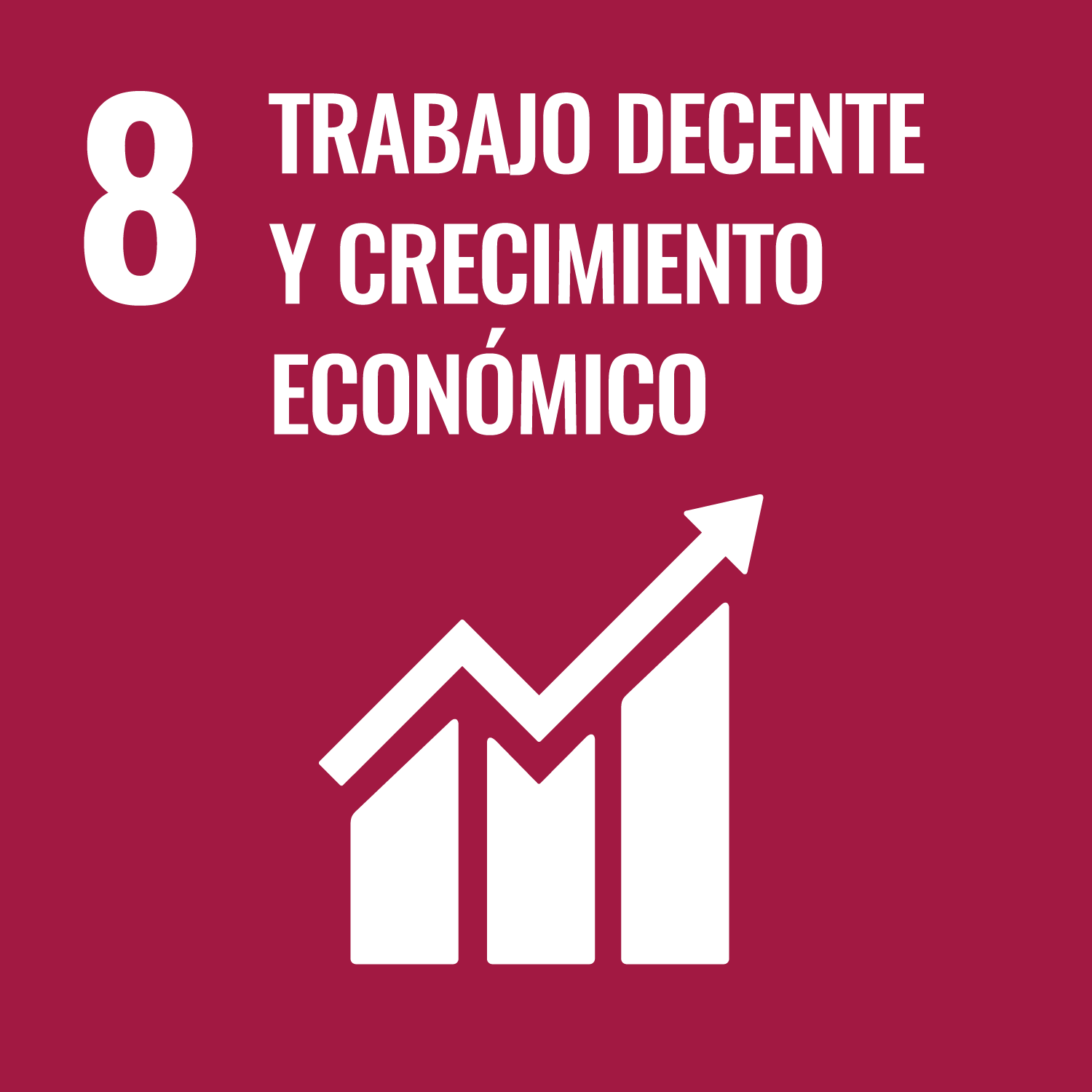 IMAGEN ODS 8