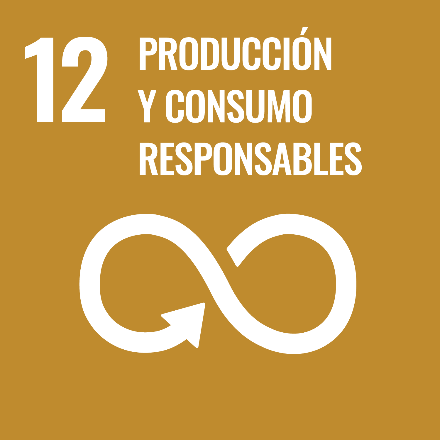 IMAGEN ODS 12