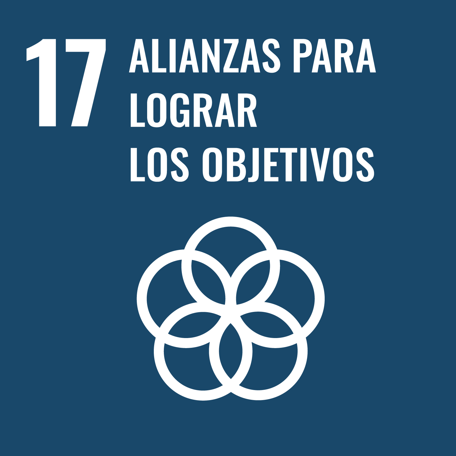 IMAGEN Alianzas para lograr los objetivos